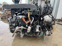 IVECO  Cursor 8 